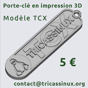 Porte-clé officiel Tricassinux Modèle TCX